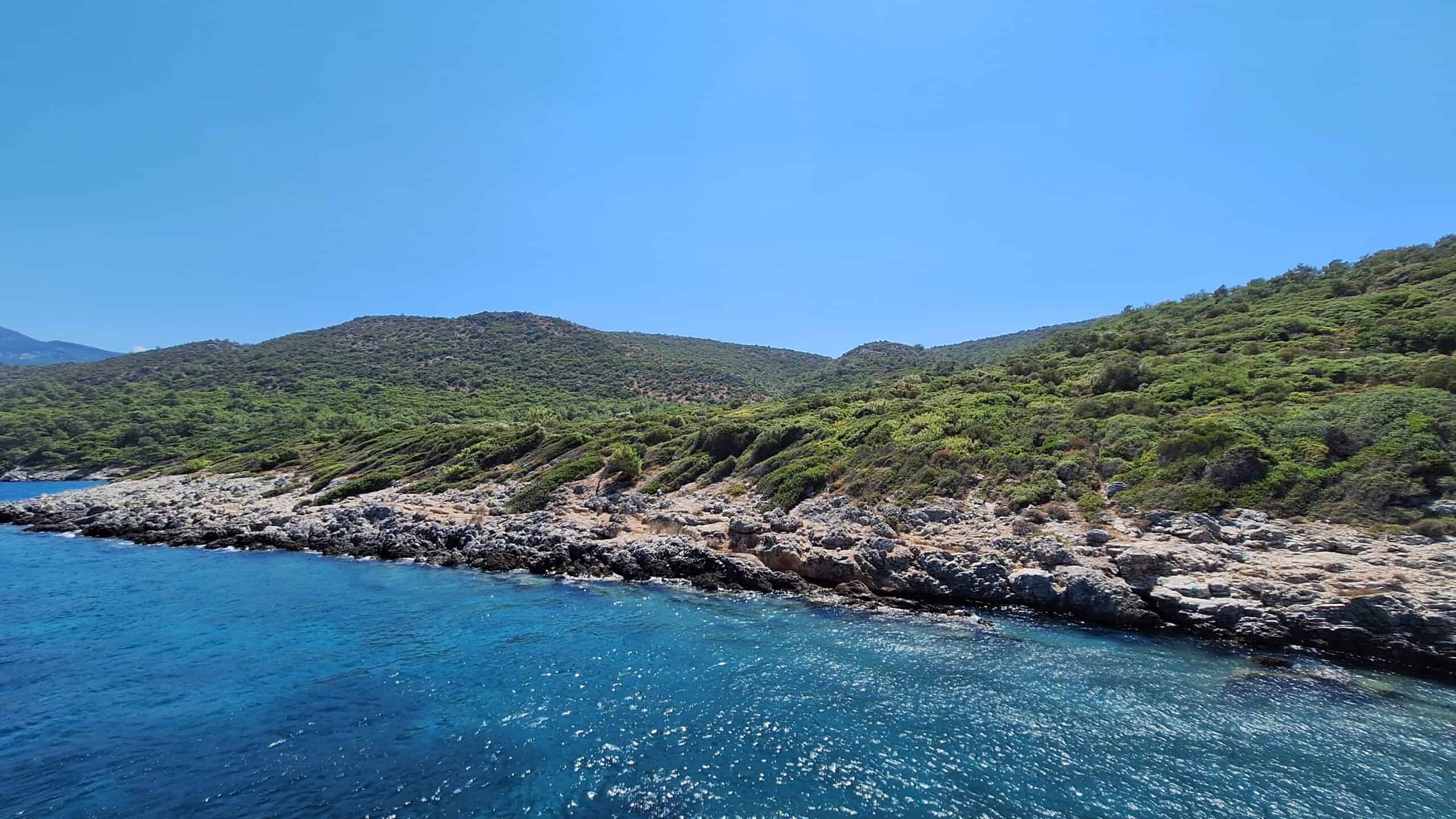 Could an Affordable Boat Tour Be Your Ticket to Adventure?